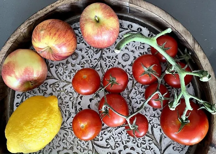 Caparica Surf Retreat